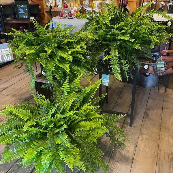 Horticultural Artificial Decorations